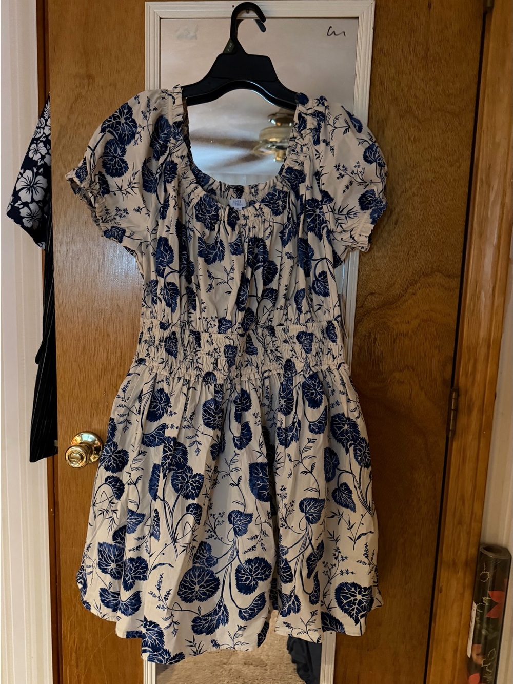 Time and Tru Cream Dress with Blue Floral Print